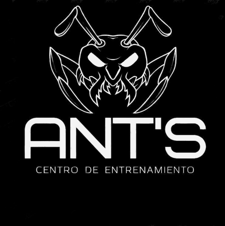 ANT'S